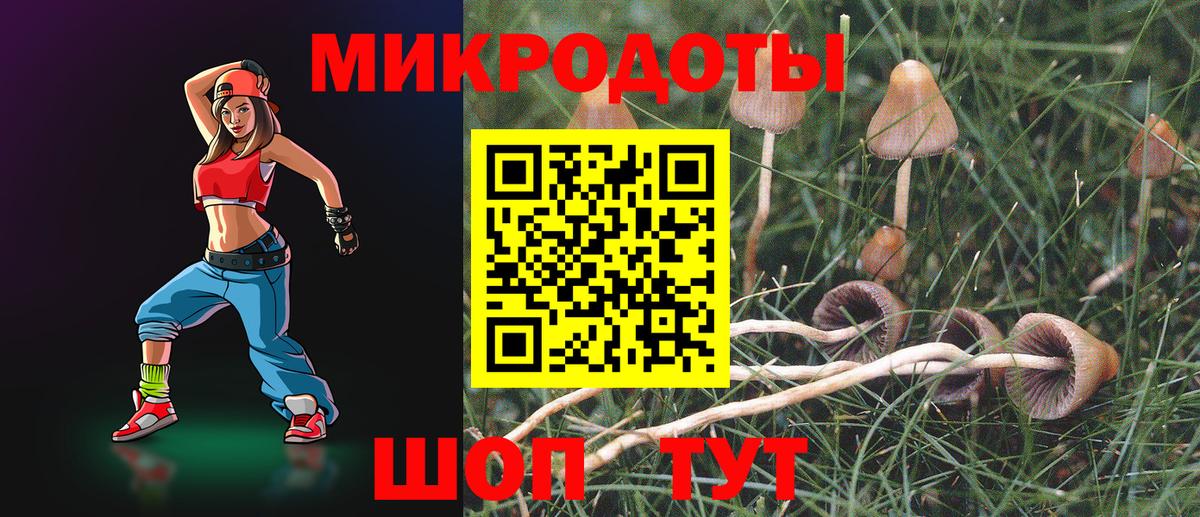 Псилоцибиновые грибы Cubensis  Вход с VPN  где найти   Галлюциногенные грибы мухоморы  Лыткарино 